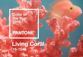 Pantone 2019年度顏色－活力珊瑚橙（Living Coral）