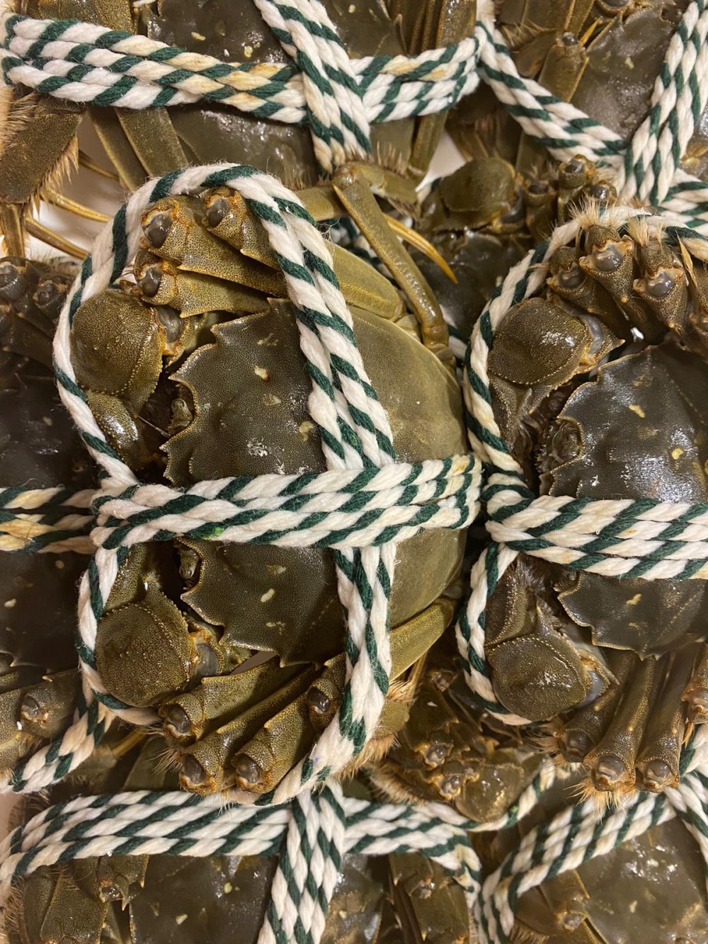 品味火鍋速遞精選頂級靚大閘蟹(公蟹)