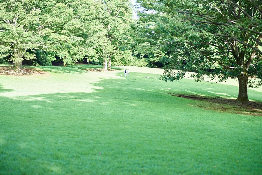 仲有一片大草園!