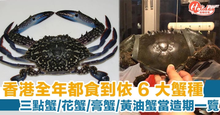 【大閘蟹季節2021】香港8大蟹種類！三點蟹/花蟹/膏蟹/紅蟹/肉蟹/黃油蟹當造期一覽
