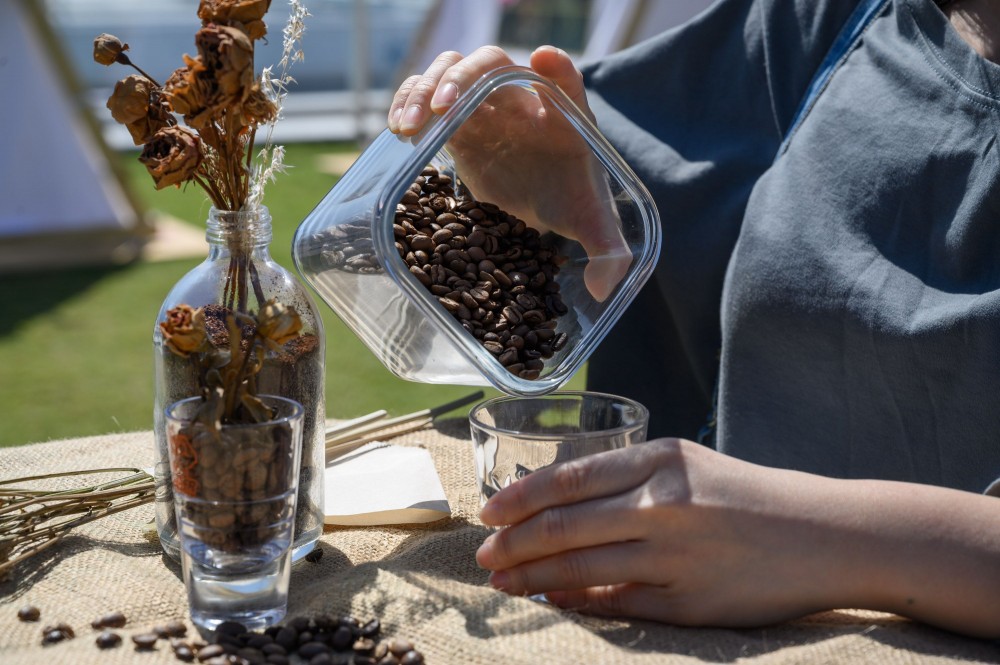 以咖啡廢物製作粉飾家居環保盆景