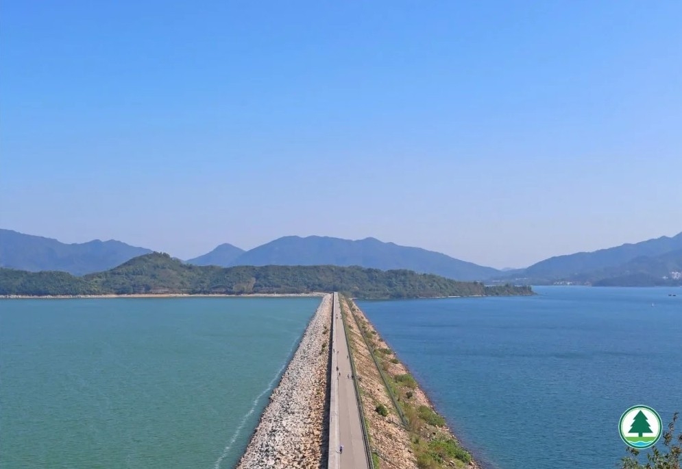 大美督船灣淡水湖主壩