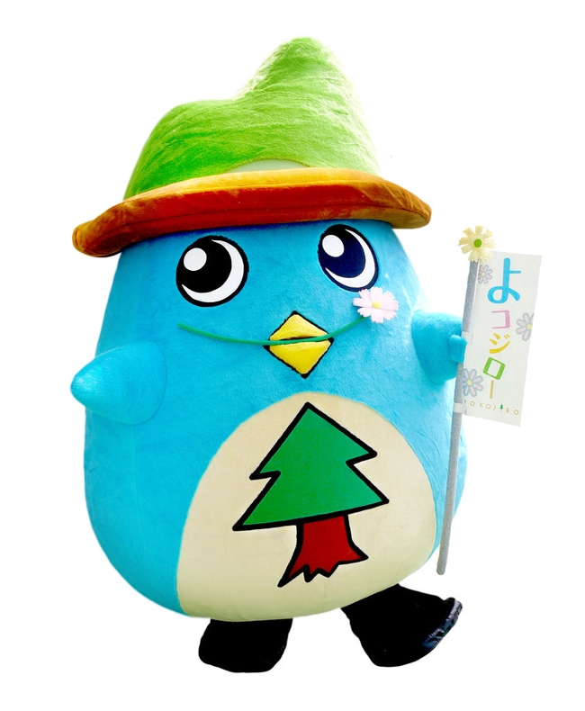 16-高知県よコジロー