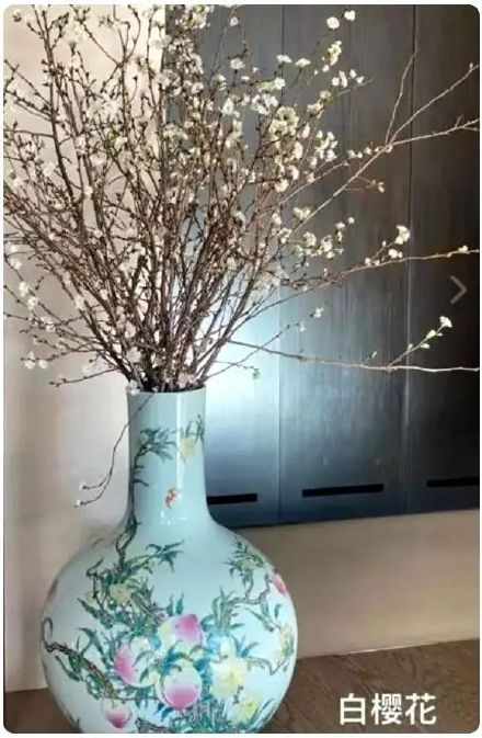 花樽非常名貴,疑似係乾隆年間製嘅「粉彩九桃天球瓶」