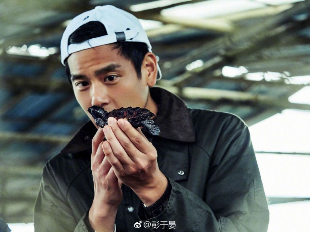 台灣男星彭于晏今年38歲，近年專注拍電影