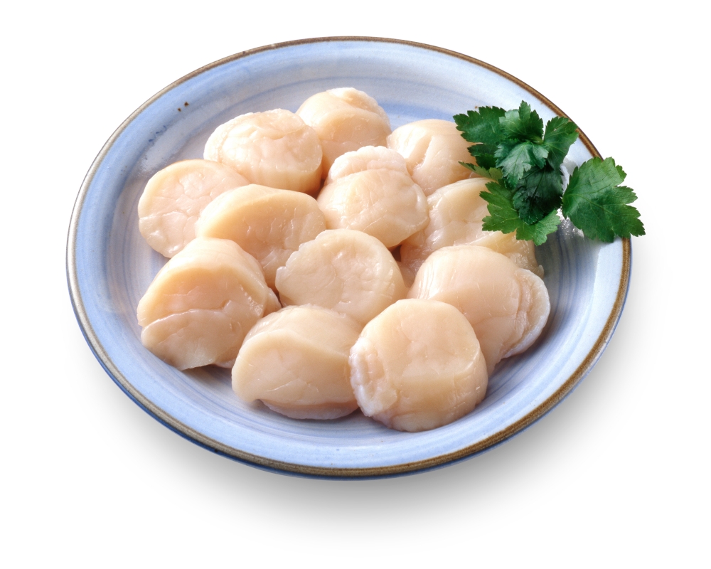 日本帶子(大碼,煮食用)約500克