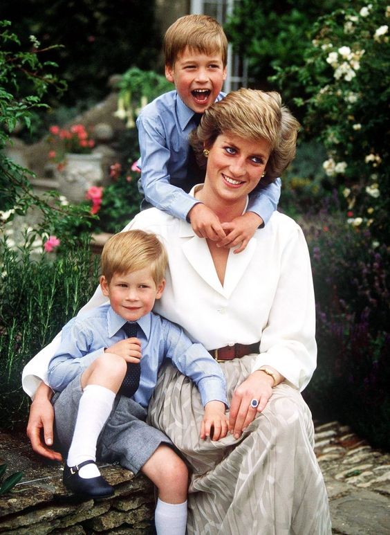 有網站反駁,哈里唔會係戴安娜同情夫生嘅私生子,因為戴安娜同James Hewitt 1989年先開始交往,當年哈里已經5歲。