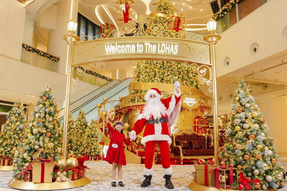 Unveiling the Christmas Joy