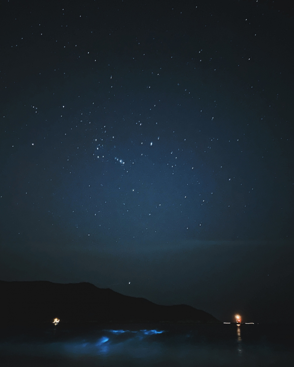 不止拍下滿天星星，更意外拍到海面出現罕見的「藍眼淚」夜光藻