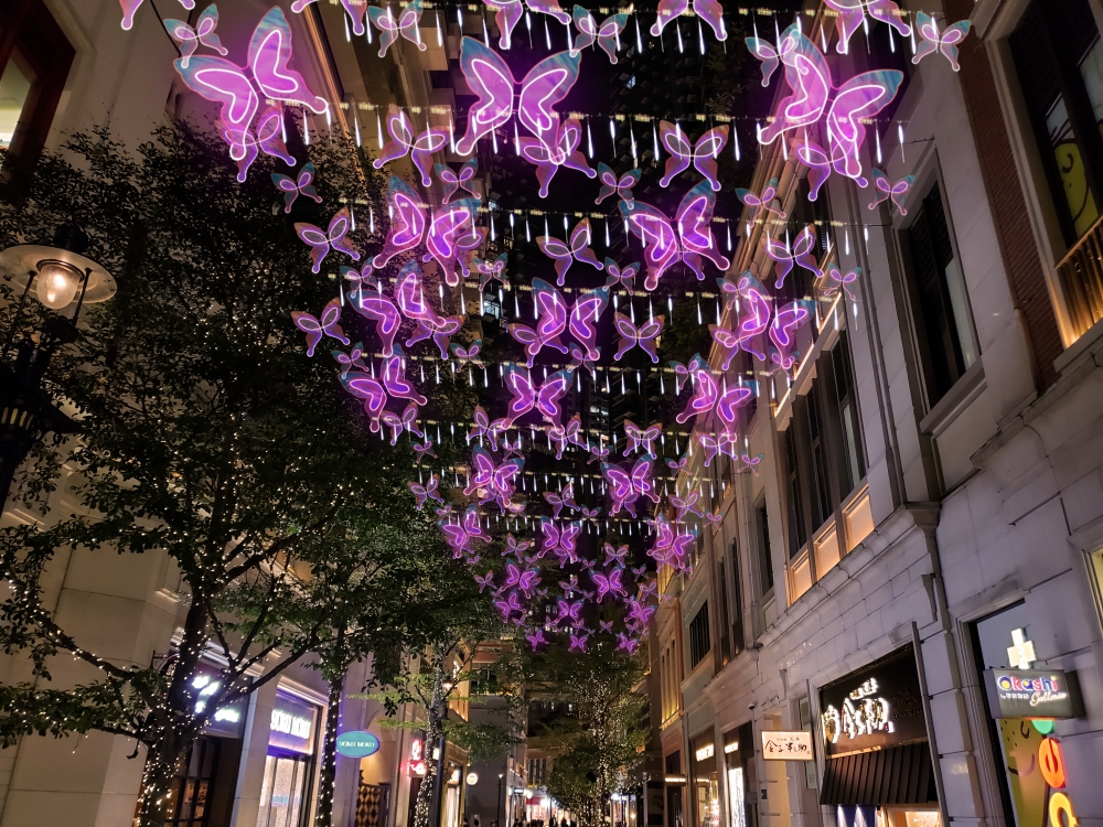 每隻蝴蝶設有獨立LED，連接到中央控制系統