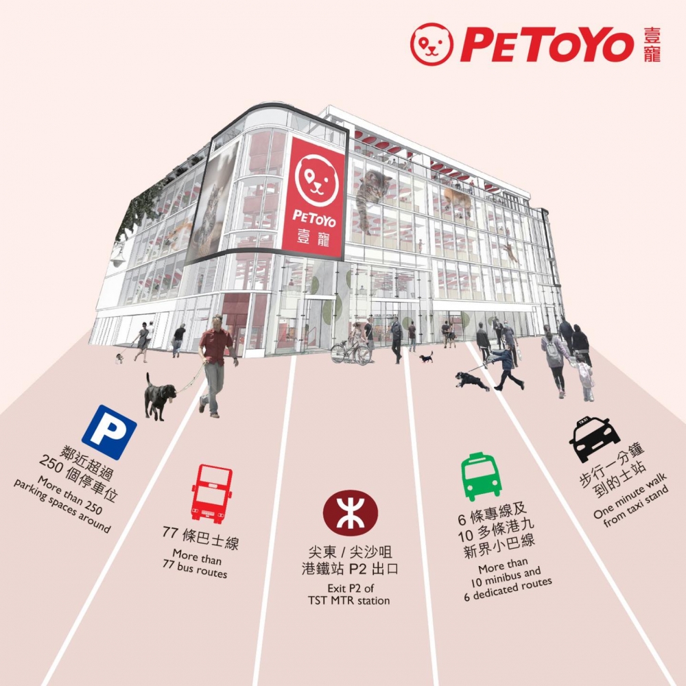 位於市區中心地帶尖沙咀,交通四通八達