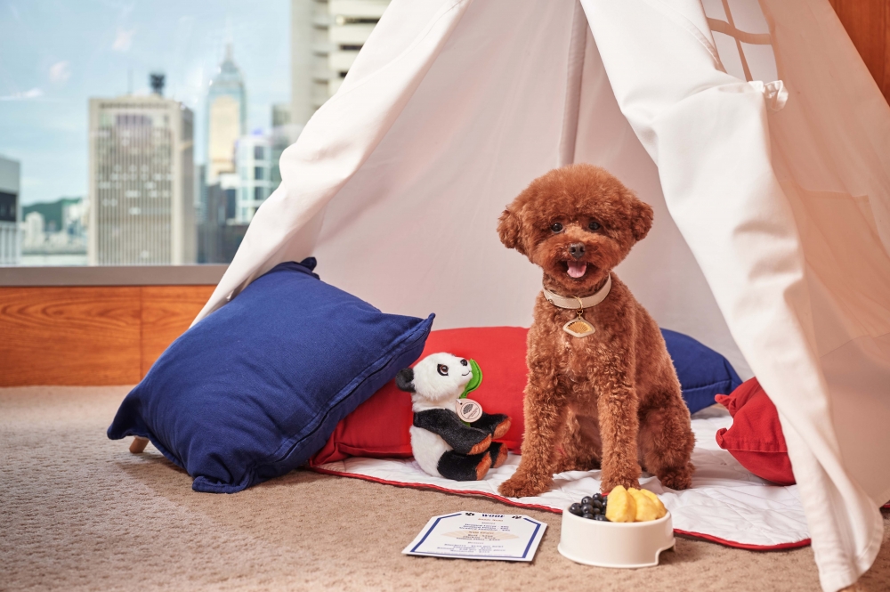 除 2 月 13 及 14 日外，其他日子星期一至日仲有保證 32 小時住宿時間以及入住時送迎賓果盤。