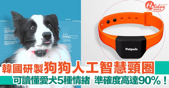 韓國公司研製「翻譯狗帶」可以讀懂狗狗 5 種情緒！