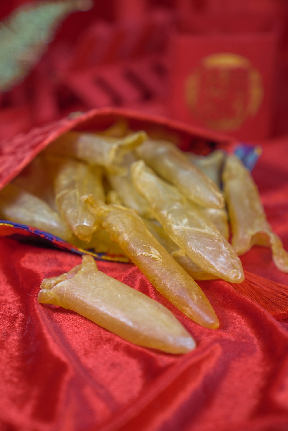 養顏金龍花膠筒 $380/盒(原價$580)