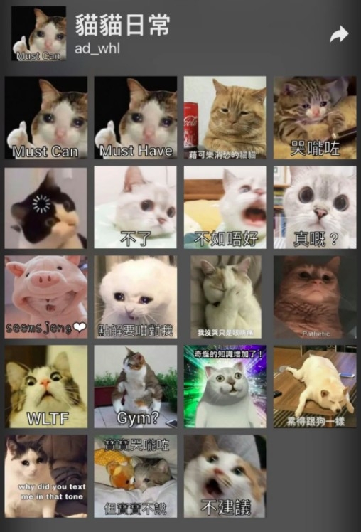 貓貓日常