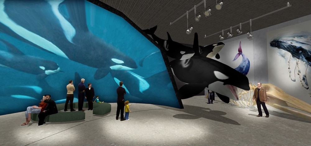 鯨魚博物館「The Whale」