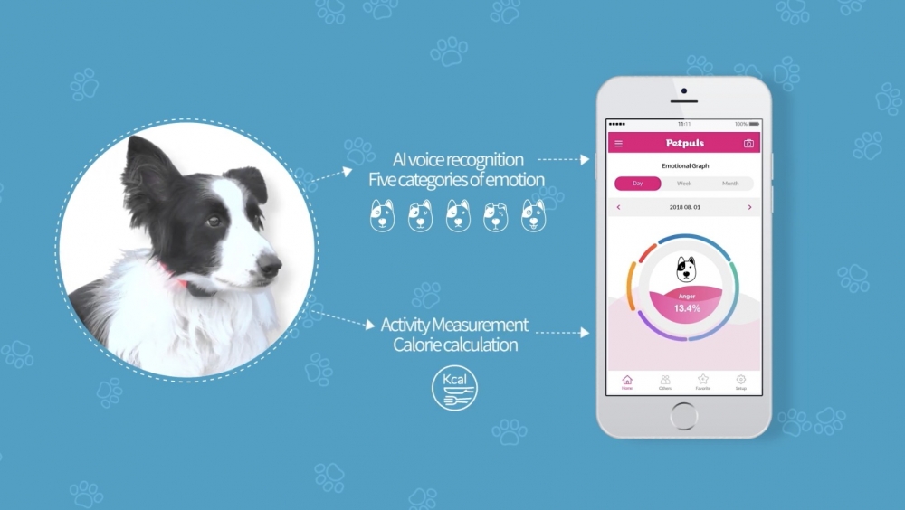 韓國公司 Petpuls 研製出一款「狗狗人工智慧頸圈」。