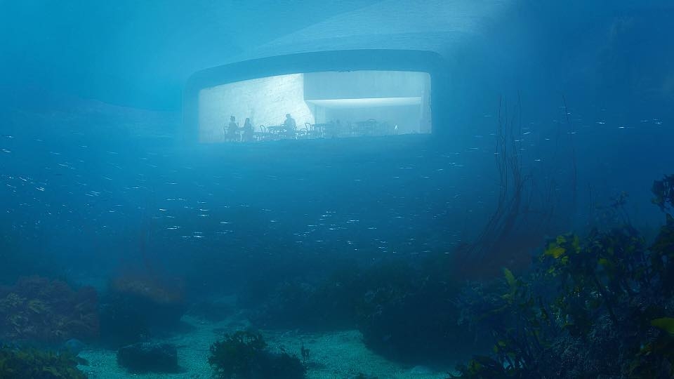 餐廳有一半係沉喺海底 5 米深嘅位置，感覺就好似一架潛入海底嘅潛艇一樣