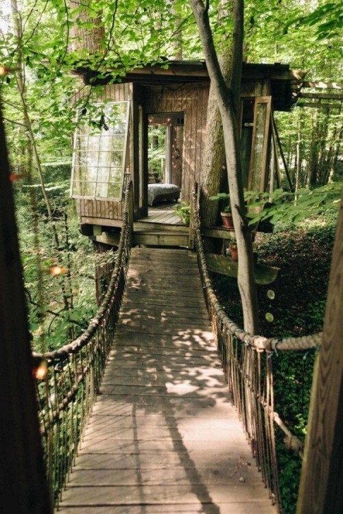 清幽夢幻神秘樹屋