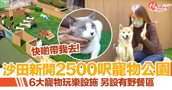 竉物好去處｜沙田新城市廣場新開2500呎寵物公園 6大寵物玩樂設施