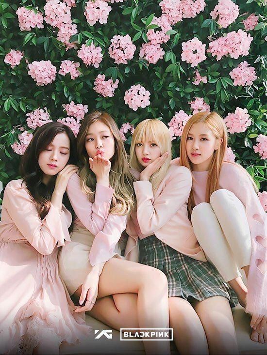 韓國女團BLACKPINK四位成員人氣極高