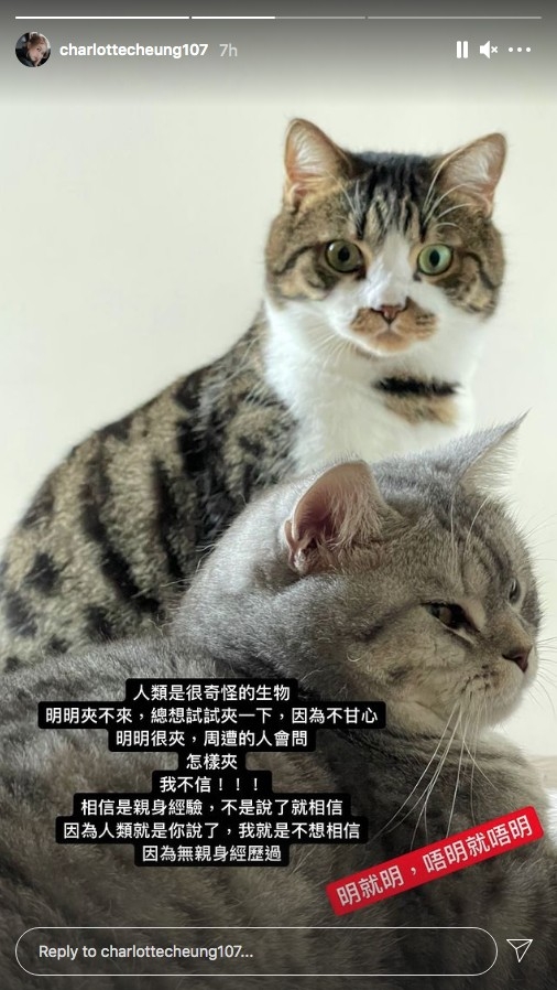 疑似回應事件
