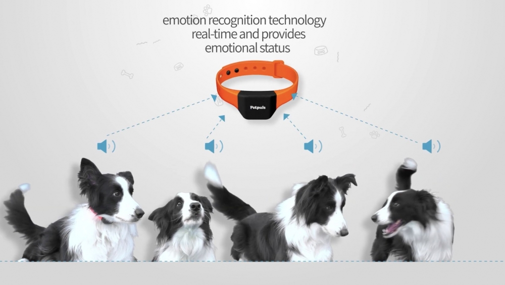 Petpuls 由 2017 年開始就不停蒐集唔同品種狗狗嘅吠叫聲，從而去分析及歸納佢哋嘅情緒。