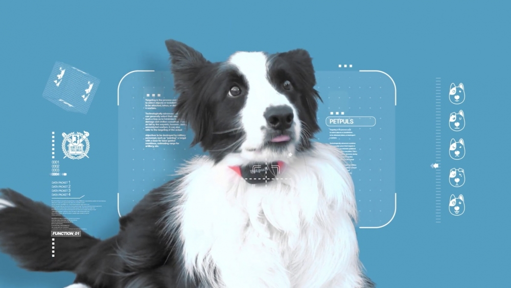 目前為止佢哋嘅數據庫已經有超過 1 萬個聲音樣本，成功開發出專利演算法。