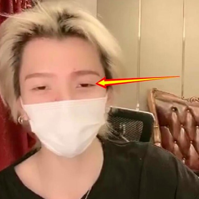 喺一次直播中,出鏡嘅七鶴大人唔知係咪唔記得化妆,就咁戴咗口罩就出鏡