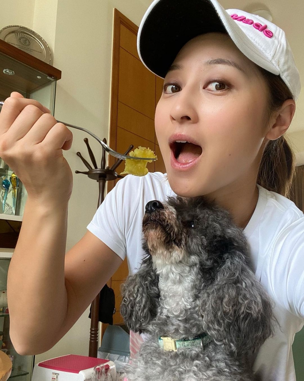 遭受不幸嘅就係圖片中嘅灰色狗狗 Quirky