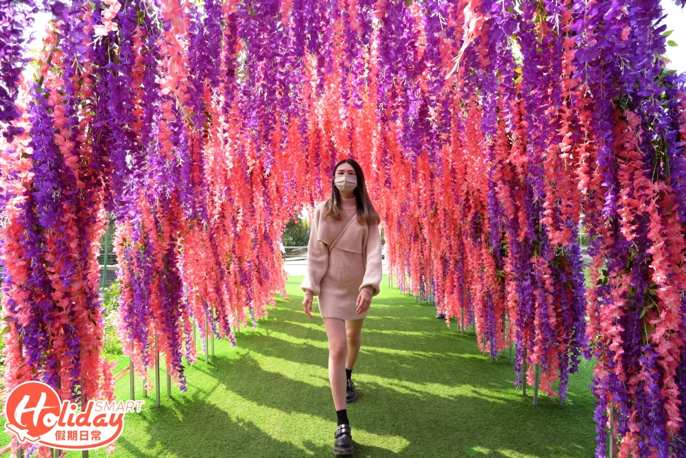 紫藤花隧道