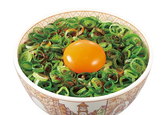 ねぎ玉牛丼