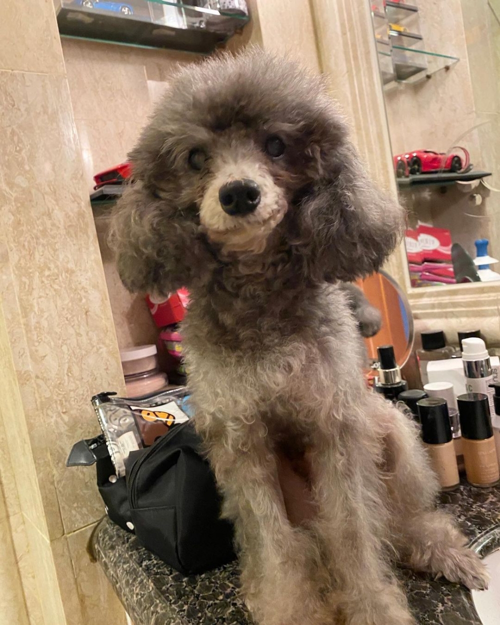 Quirky 今次真係非常不幸