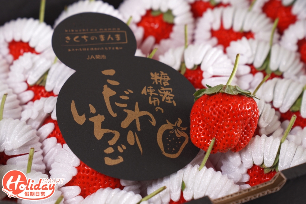 熊本菊池長柄糖蜜士多啤梨果實大粒，在種植中加入蜜糖，每棵幼苗只會生長一顆士多啤梨。