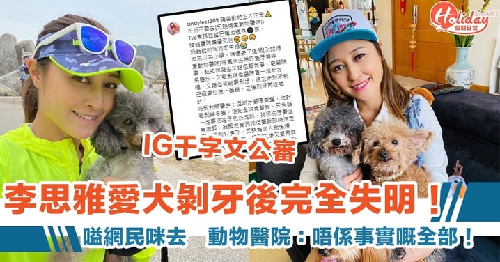 李思雅愛犬被剝 17 隻牙後失明！　呼籲網民「千祈咪去」　動物醫院要求公開道歉