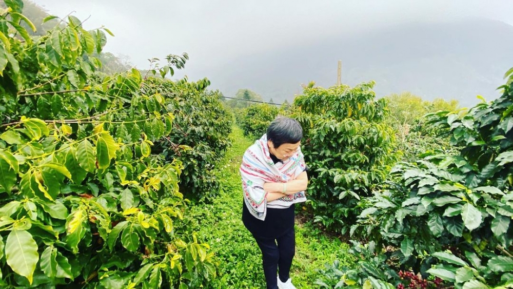 文中係講一位婆婆為免兒子難做，決心學識游水嘅故事