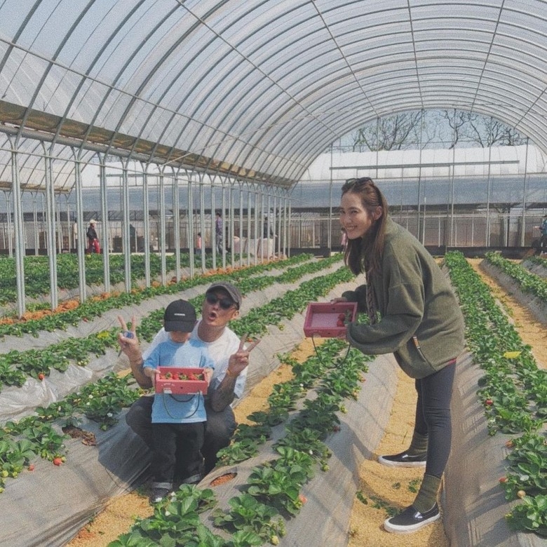 余文樂一家近年已移居到台灣生活