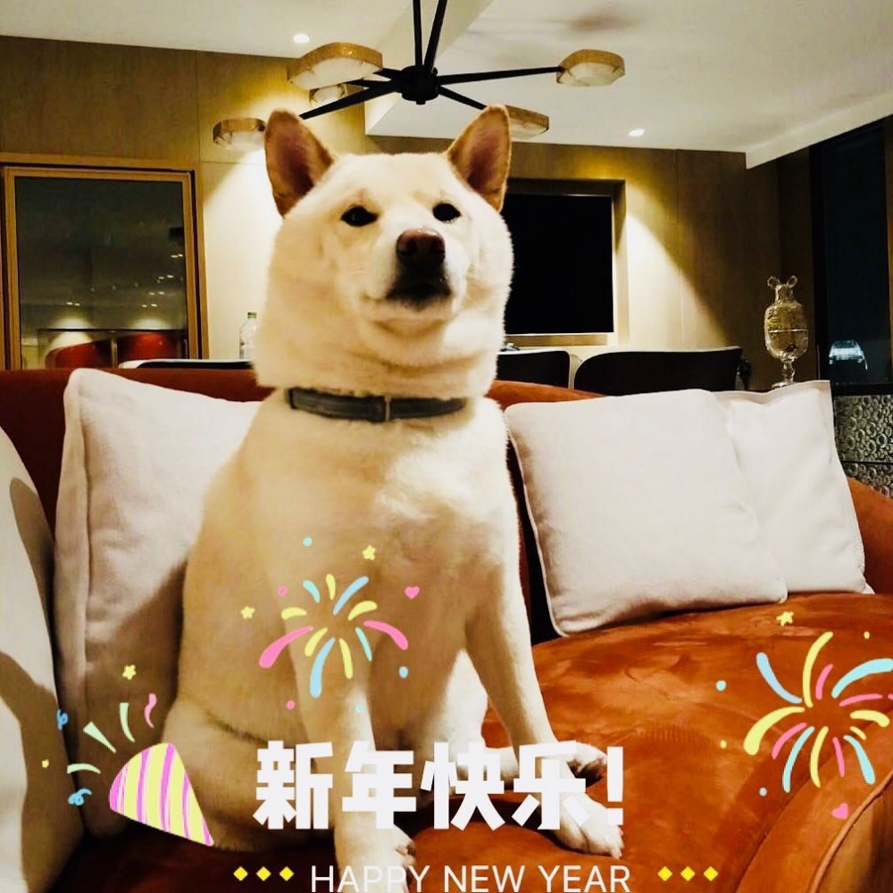 梳化