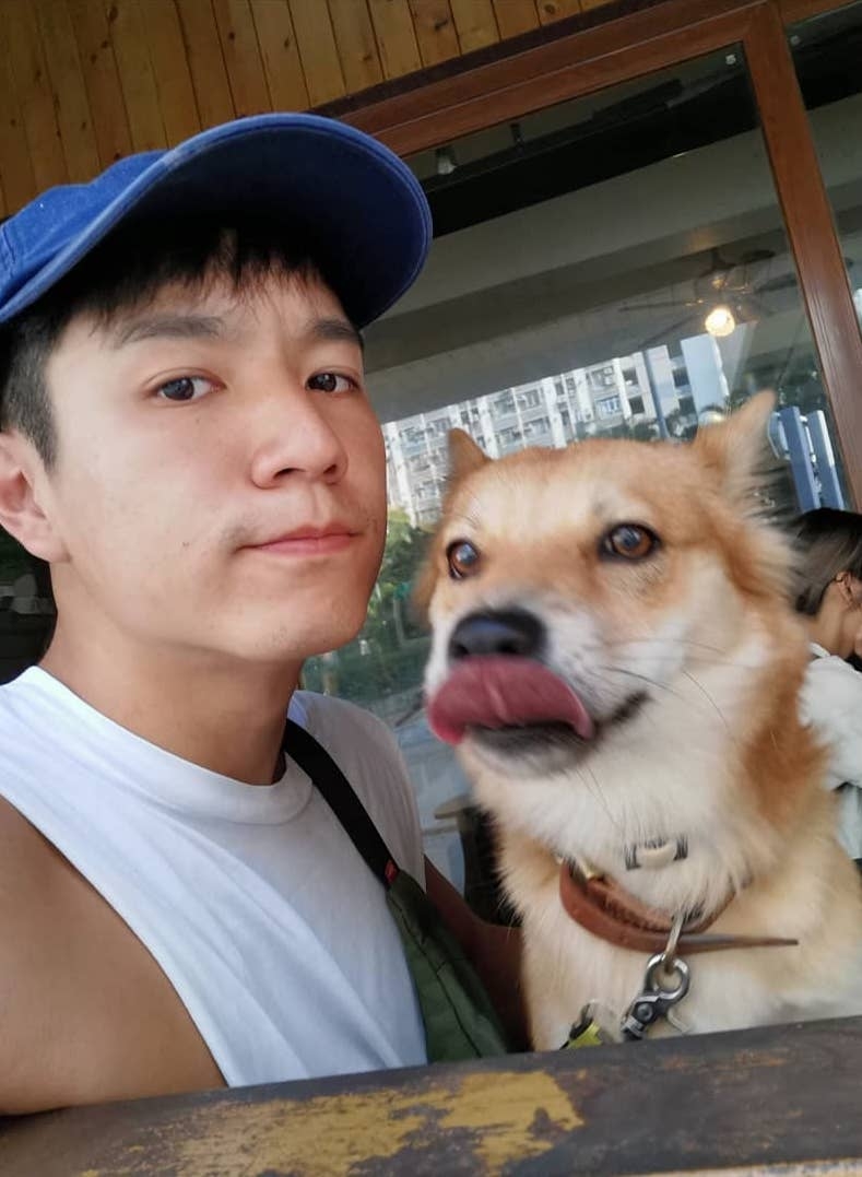 有指相中狗狗正係吳偉豪愛犬