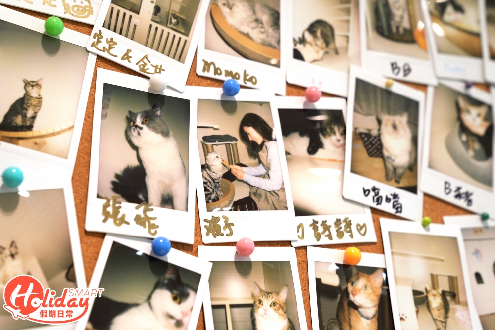 貓貓在Elanne生命中佔有很重要的一部分