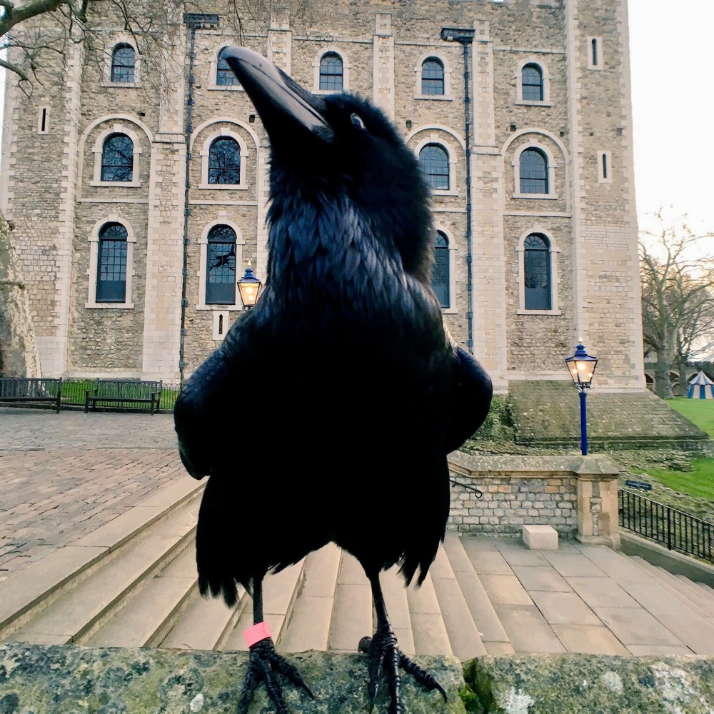 FB@thetoweroflondon