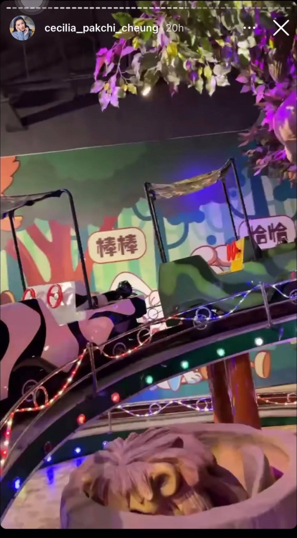 張柏芝IG