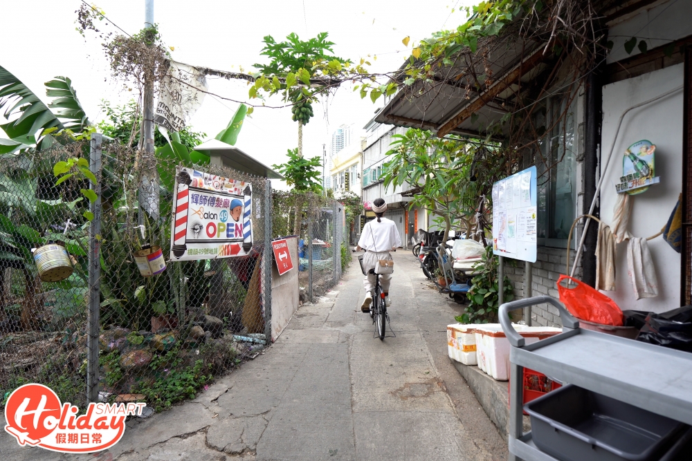 見到分岔路向右邊方向繼續踩