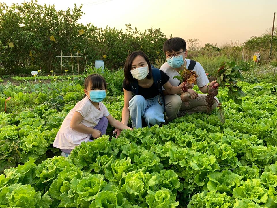 有機蔬菜園開放日