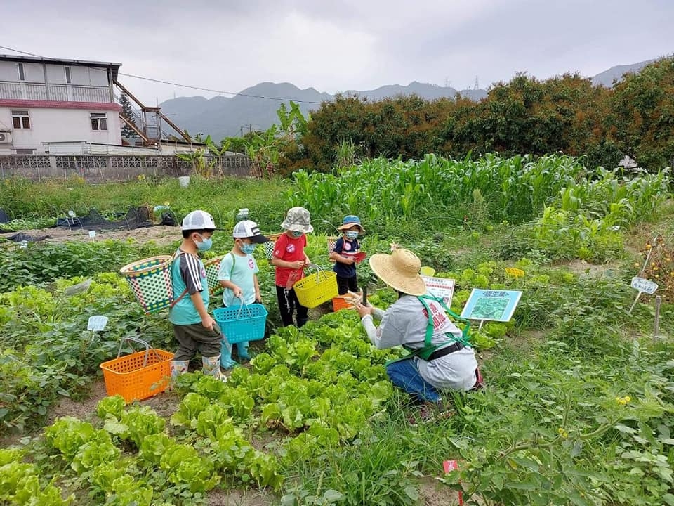 小農夫體驗工作坊