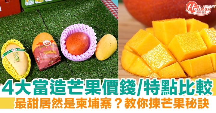 芒果種類推介|愛文芒外4款當造芒果大比拼！呂宋芒、白花芒、水仙芒、日本芒邊款最甜？