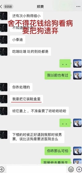 張恒微博