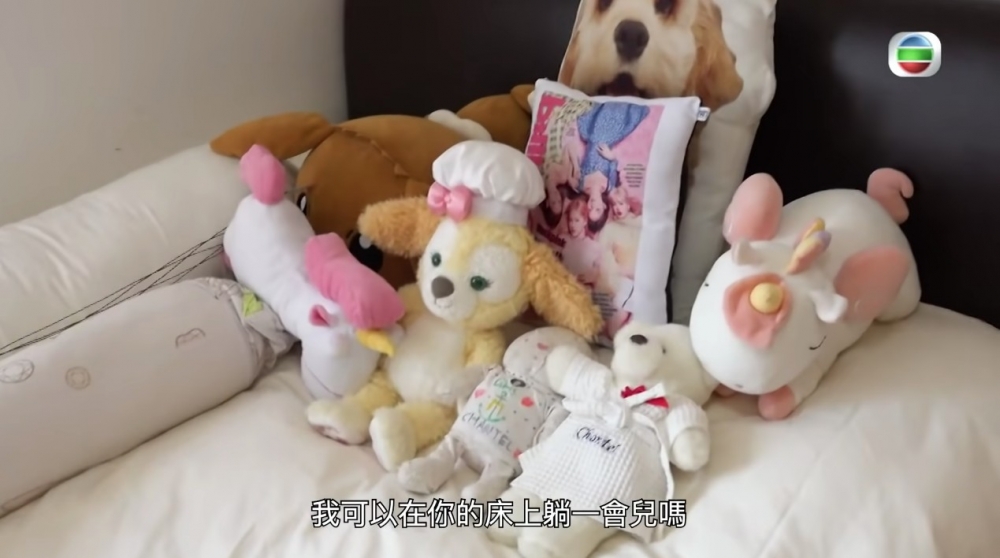 床上有好多毛公仔!