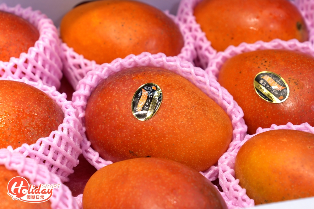 經過處理的愛文芒色澤會變得更紅，手感更柔軟，甜度亦同時提升！