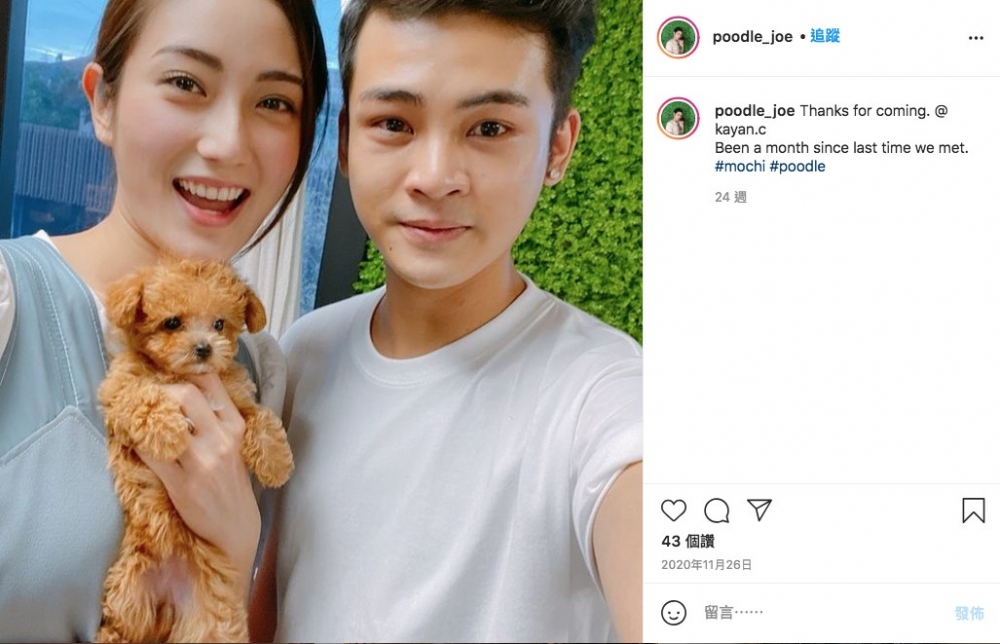 poodle_joe/IG